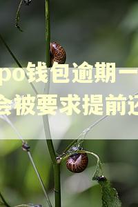 oppo钱包逾期一天会被要求提前还清吗
