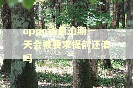 oppo钱包逾期一天会被要求提前还清吗