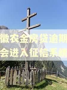 安徽农金房贷逾期一天会进入征信系统吗