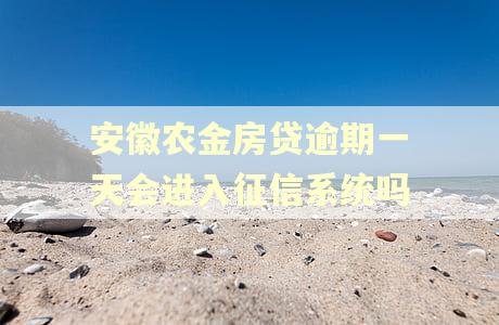 安徽农金房贷逾期一天会进入征信系统吗