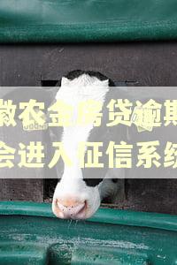 安徽农金房贷逾期一天会进入征信系统吗