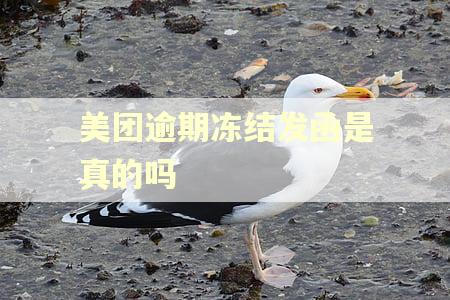 美团逾期冻结发函是真的吗