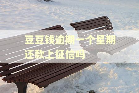 豆豆钱逾期一个星期还款上征信吗