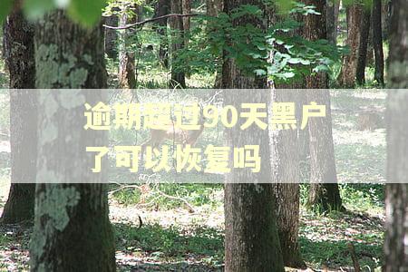 逾期超过90天黑户了可以恢复吗