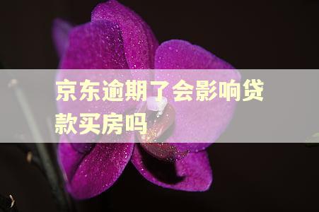京东逾期了会影响贷款买房吗 京东逾期了会影响贷款买房吗