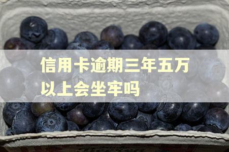 信用卡逾期三年五万以上会坐牢吗