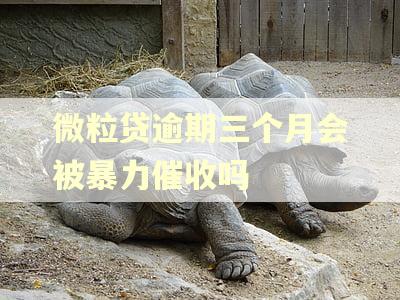 微粒贷逾期三个月会被暴力催收吗 微粒贷逾期三个月会被暴力催收吗