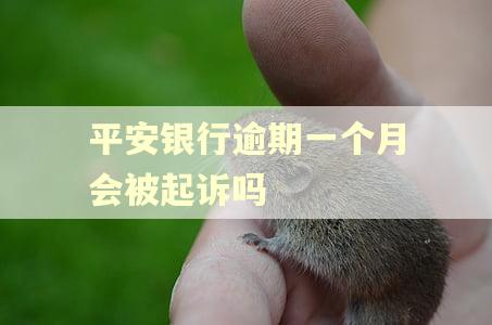 平安银行逾期一个月会被起诉吗