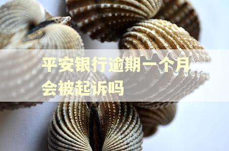 平安银行逾期一个月会被起诉吗