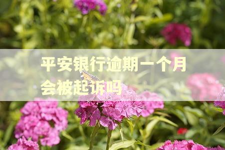 平安银行逾期一个月会被起诉吗 平安银行逾期一个月会被起诉吗