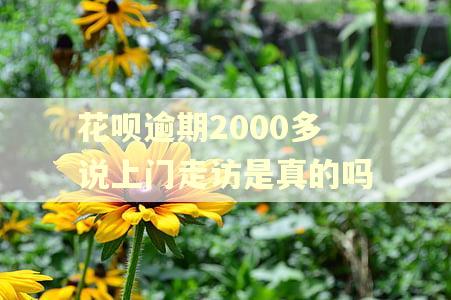 花呗逾期2000多说上门走访是真的吗 花呗逾期2000多说上门走访是真的吗
