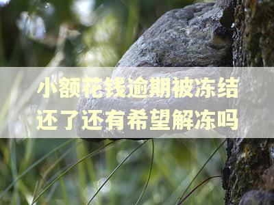 小额花钱逾期被冻结还了还有希望解冻吗