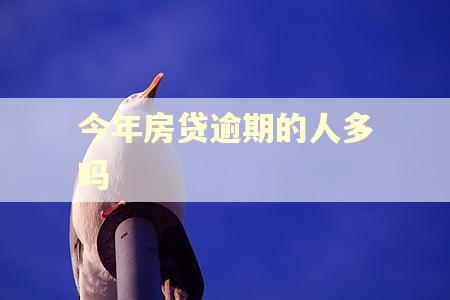 今年房贷逾期的人多吗