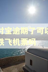 支付宝逾期了可以买高铁飞机票吗
