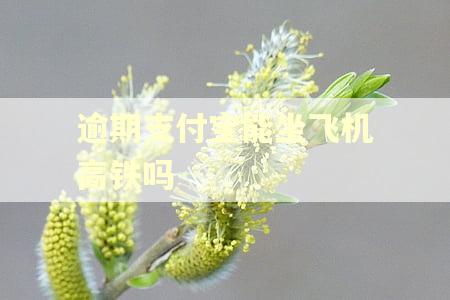 逾期支付宝能坐飞机高铁吗
