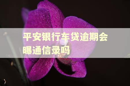 平安银行车贷逾期会曝通信录吗