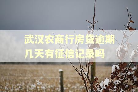 武汉农商行房贷逾期几天有征信记录吗