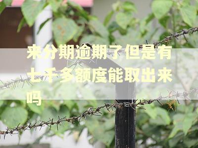 来分期逾期了但是有七千多额度能取出来吗