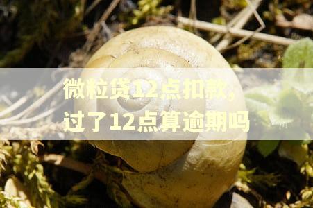微粒贷12点扣款,过了12点算逾期吗
