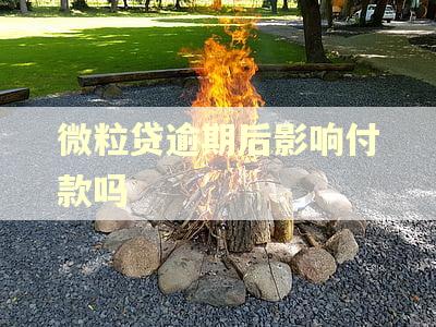 微粒贷逾期后影响付款吗