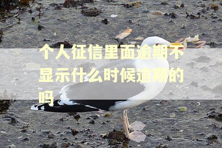 个人征信里面逾期不显示什么时候逾期的吗