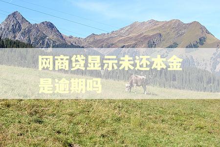 网商贷显示未还本金是逾期吗 网商贷显示未还本金是逾期吗