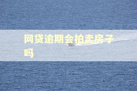 网贷逾期会拍卖房子吗