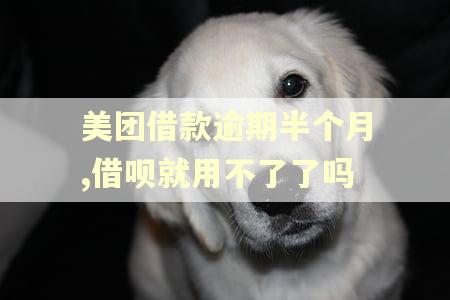 美团借款逾期半个月,借呗就用不了了吗