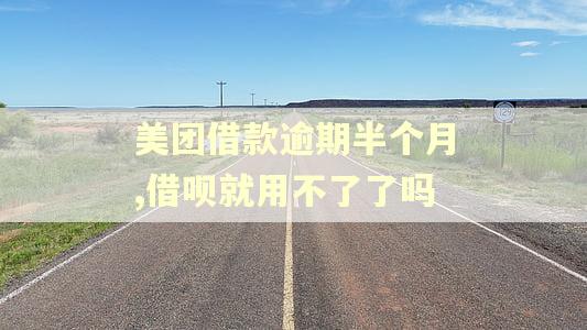 美团借款逾期半个月,借呗就用不了了吗