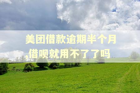 美团借款逾期半个月,借呗就用不了了吗 美团借款逾期半个月,借呗就用不了了吗