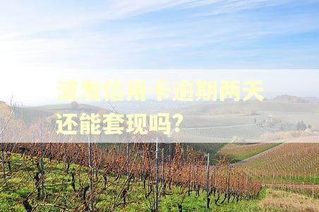 浦发信用卡逾期两天还能套现吗?