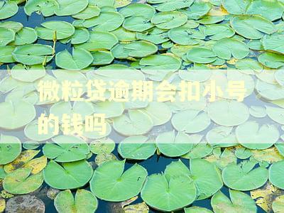 微粒贷逾期会扣小号的钱吗 微粒贷逾期会扣小号的钱吗