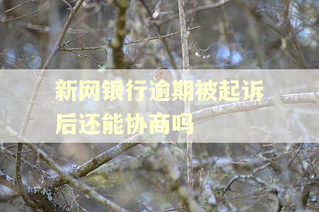 新网银行逾期被起诉后还能协商吗
