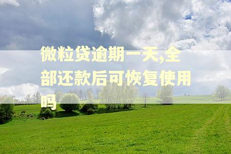 微粒贷逾期一天,全部还款后可恢复使用吗