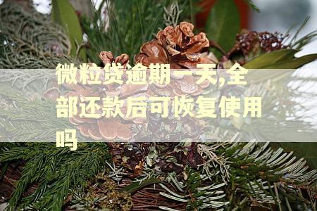 微粒贷逾期一天,全部还款后可恢复使用吗
