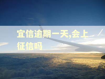 宜信逾期一天,会上征信吗 宜信逾期一天,会上征信吗