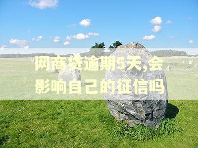 网商贷逾期5天,会影响自己的征信吗