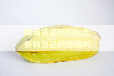 网商贷逾期5天,会影响自己的征信吗