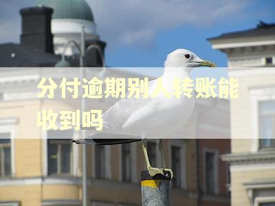 分付逾期别人转账能收到吗