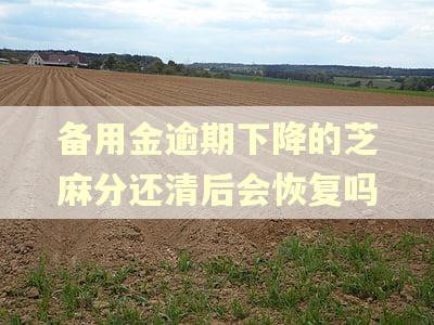 备用金逾期下降的芝麻分还清后会恢复吗