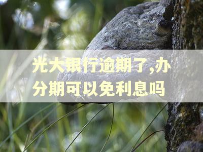 光大银行逾期了,办分期可以免利息吗