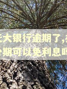 光大银行逾期了,办分期可以免利息吗 光大银行逾期了,办分期可以免利息吗