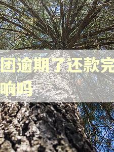 美团逾期了还款完有影响吗