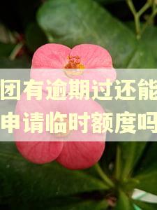 美团有逾期过还能协商申请临时额度吗