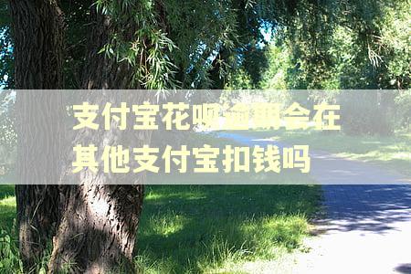 支付宝花呗逾期会在其他支付宝扣钱吗 支付宝花呗逾期会在其他支付宝扣钱吗