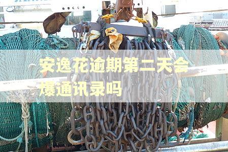 安逸花逾期第二天会爆通讯录吗
