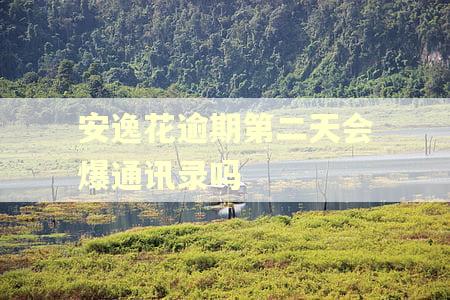 安逸花逾期第二天会爆通讯录吗 安逸花逾期第二天会爆通讯录吗