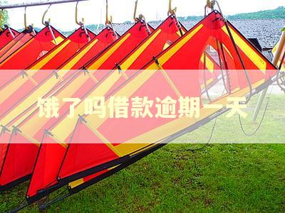 饿了吗借款逾期一天