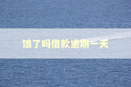 饿了吗借款逾期一天