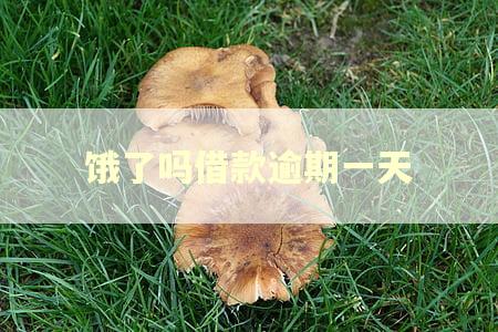 饿了吗借款逾期一天